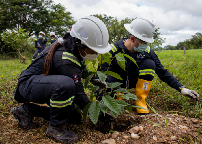 Cenit: una de las 22 empresas más inspiradoras de Colombia