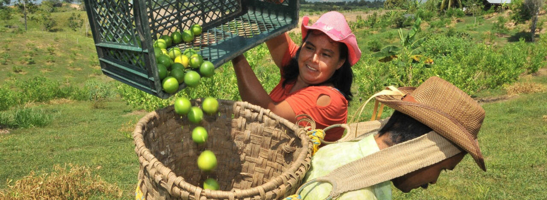 MinAgricultura y Ecopetrol han apoyado más de 400 proyectos a través de El Campo Emprende