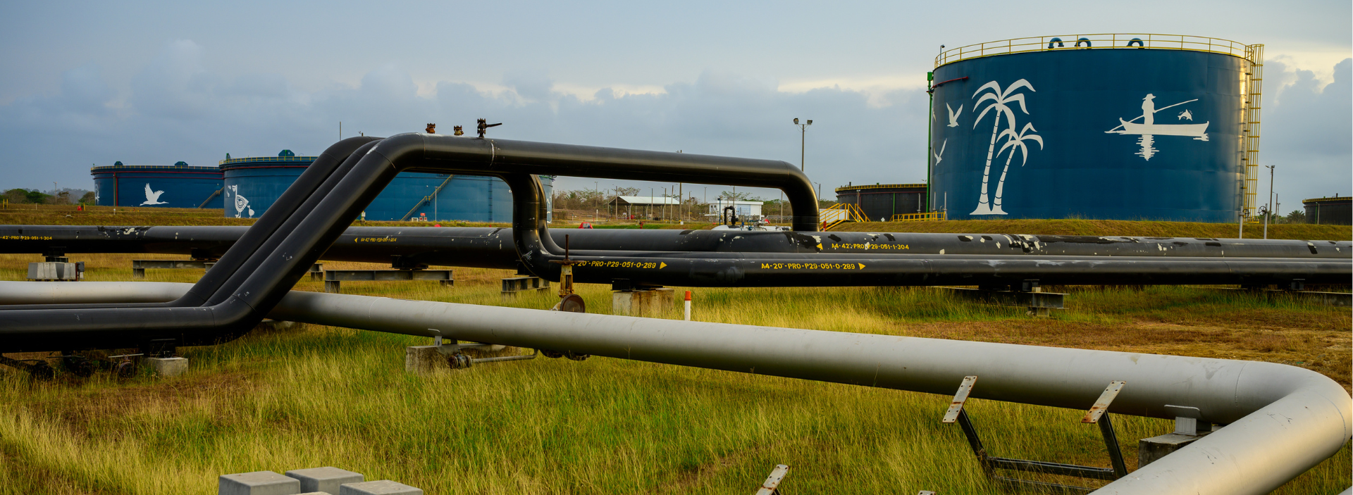 Panorama de utilidades y logros legales para Ocensa durante el 2023