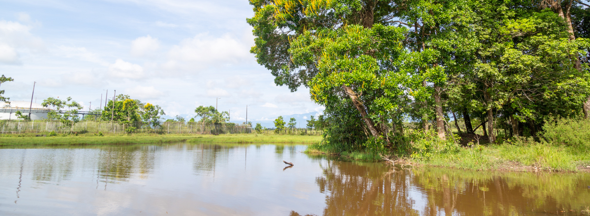Ecopetrol ganó el premio de sostenibilidad de la ACP en la categoría Protección a la Biodiversidad