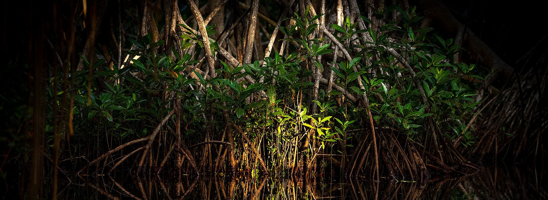 Diez proyectos que marcan nuestro compromiso medioambiental