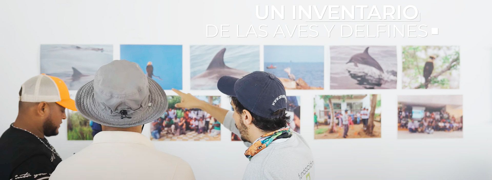 El inventario de delfines y aves en el golfo de Morrosquillo