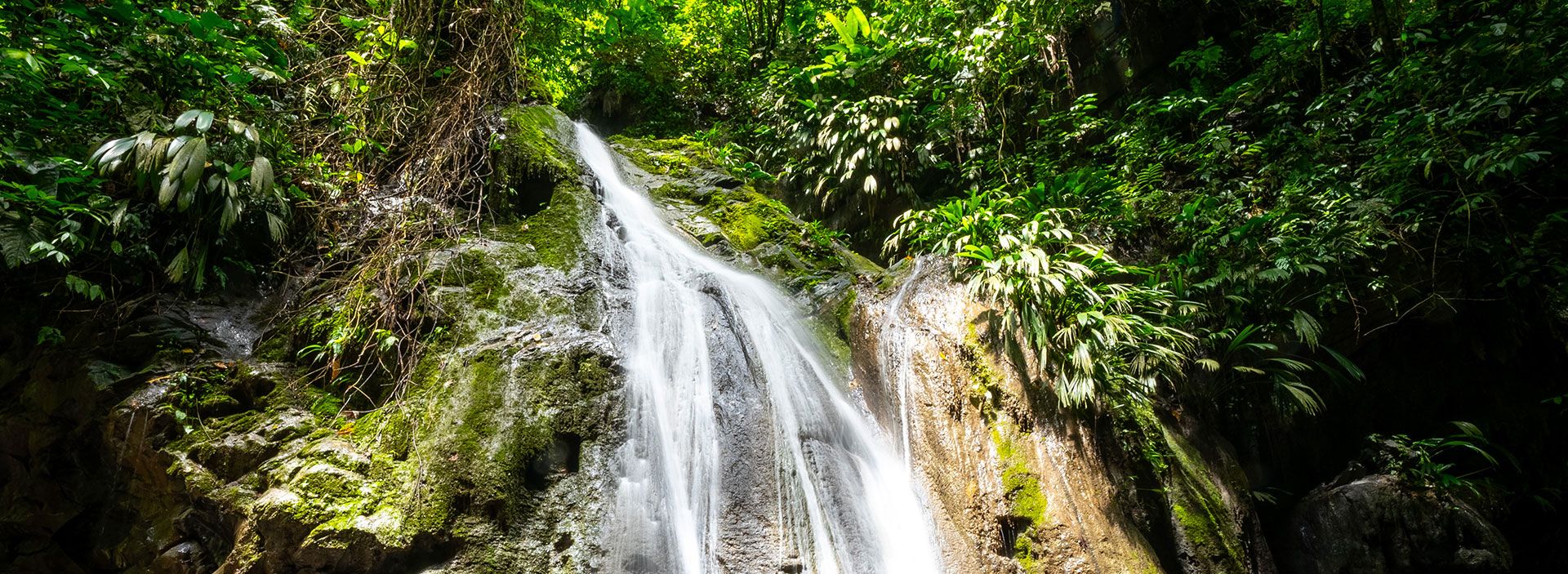 Cuidado del medioambiente: Nos cuidamos y cuidamos el planeta