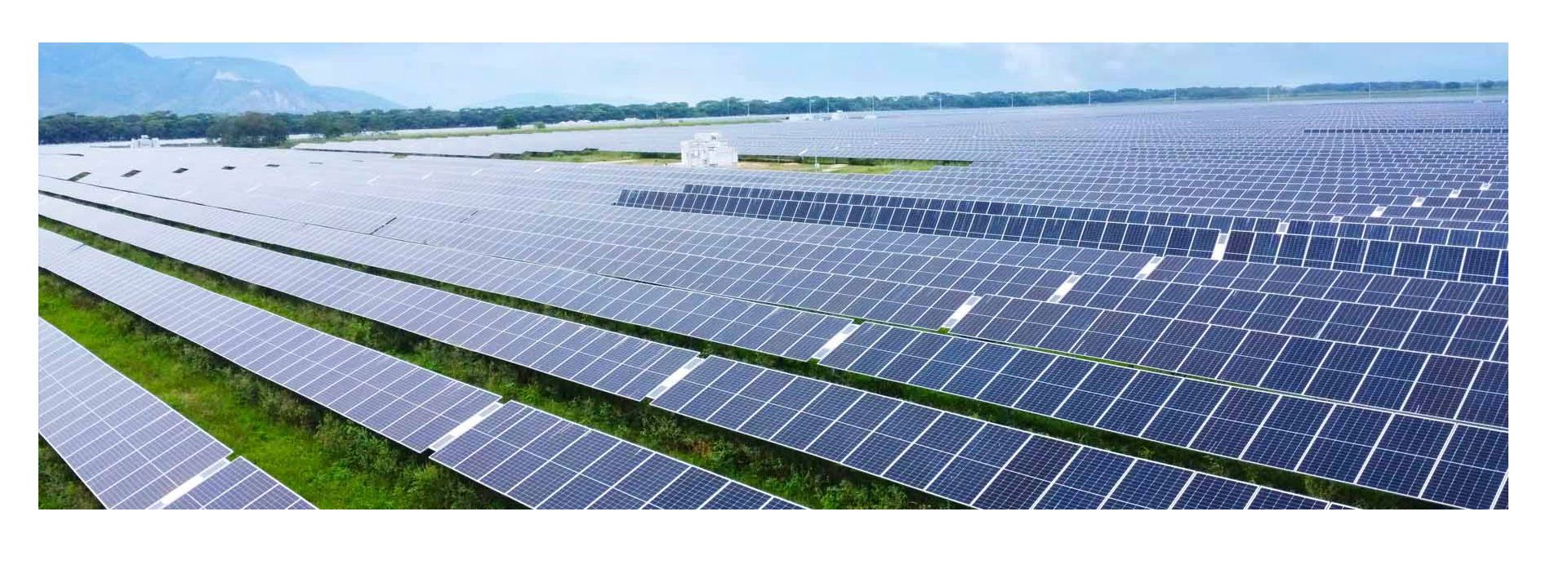 Ecopetrol y Frontera Energy se suman al Día Mundial de la Energía Limpia con la nueva granja solar Quifa