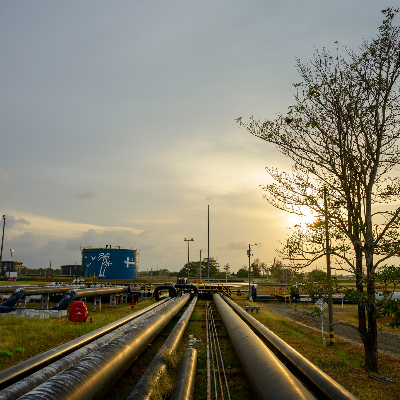 Excelencia Operacional