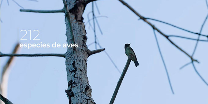 Ocensa: identificando especies desde el Terminal Marítimo de Coveñas