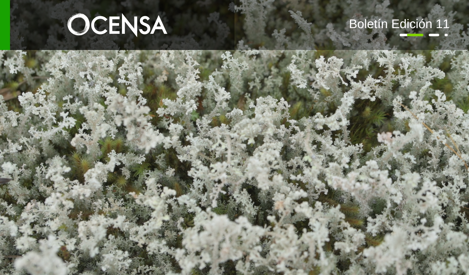 Semana Sevivir con SosTECnibilidad