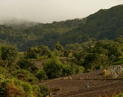 Buena Vecindad: seguridad con enfoque social