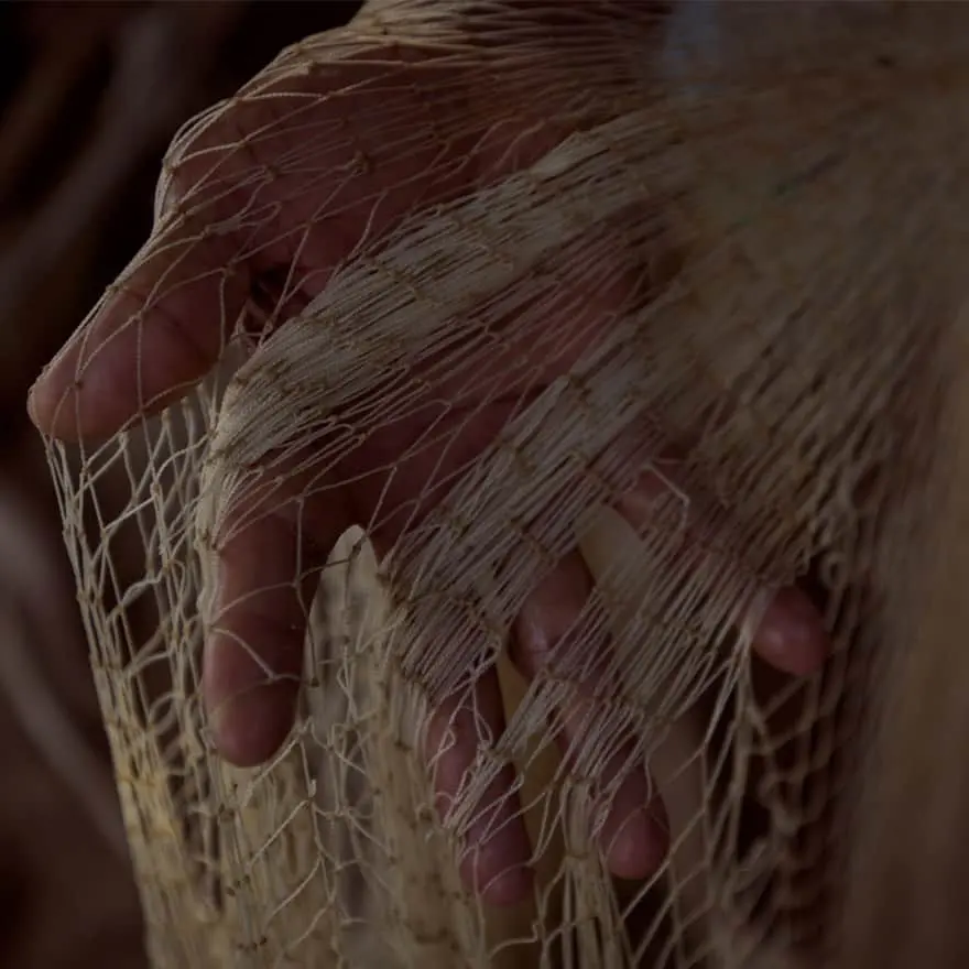 Los peces que llegaron a Loma de Piedra