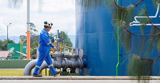 Un nuevo marco estratégico claro para todas las áreas