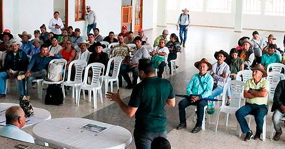 Impulsando la competitividad cafetera de Páez