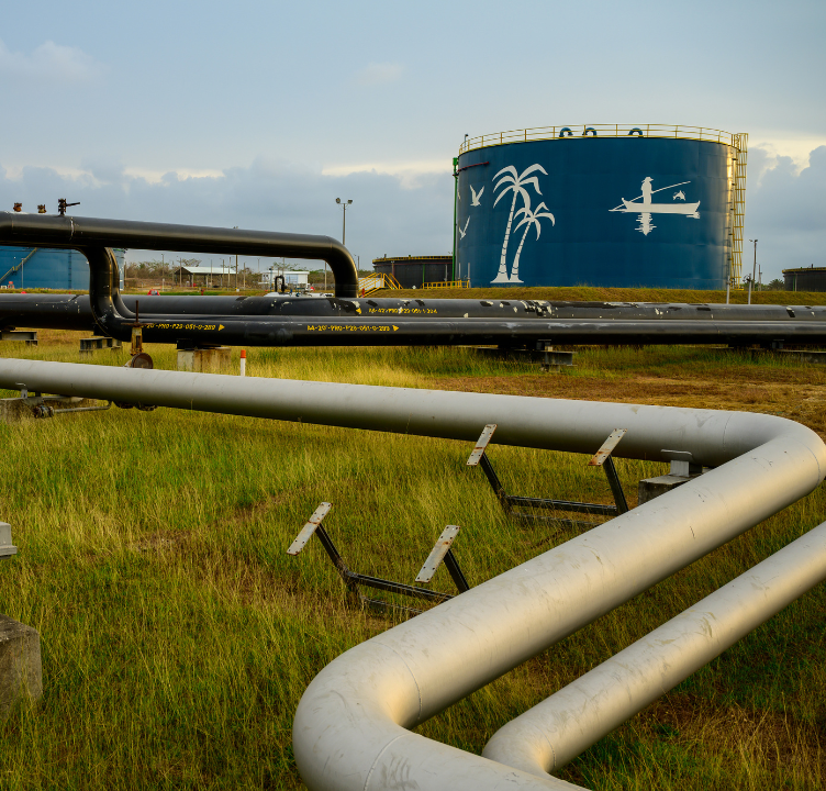 Generación de Valor y Sostenibilidad