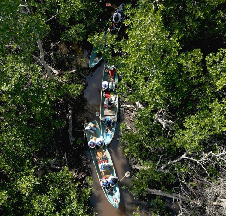 Responsabilidad Ambiental