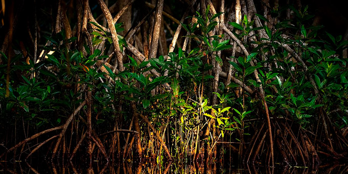 Diez proyectos que marcan nuestro compromiso medioambiental