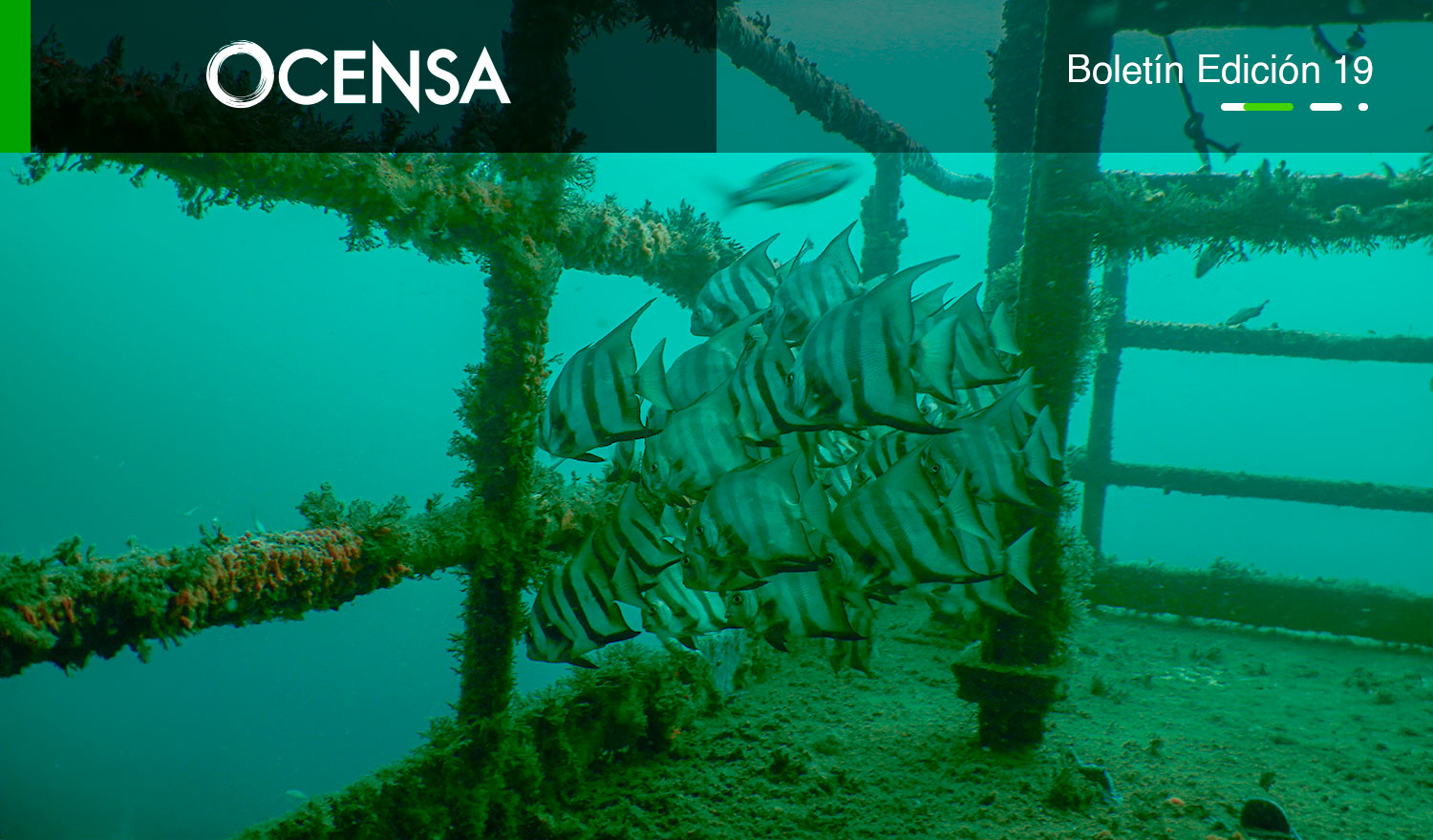 La naturaleza se adueñó de la TLU-2