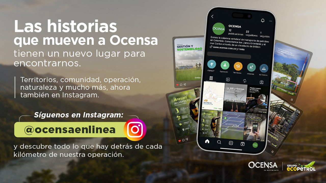 Promo Instagram