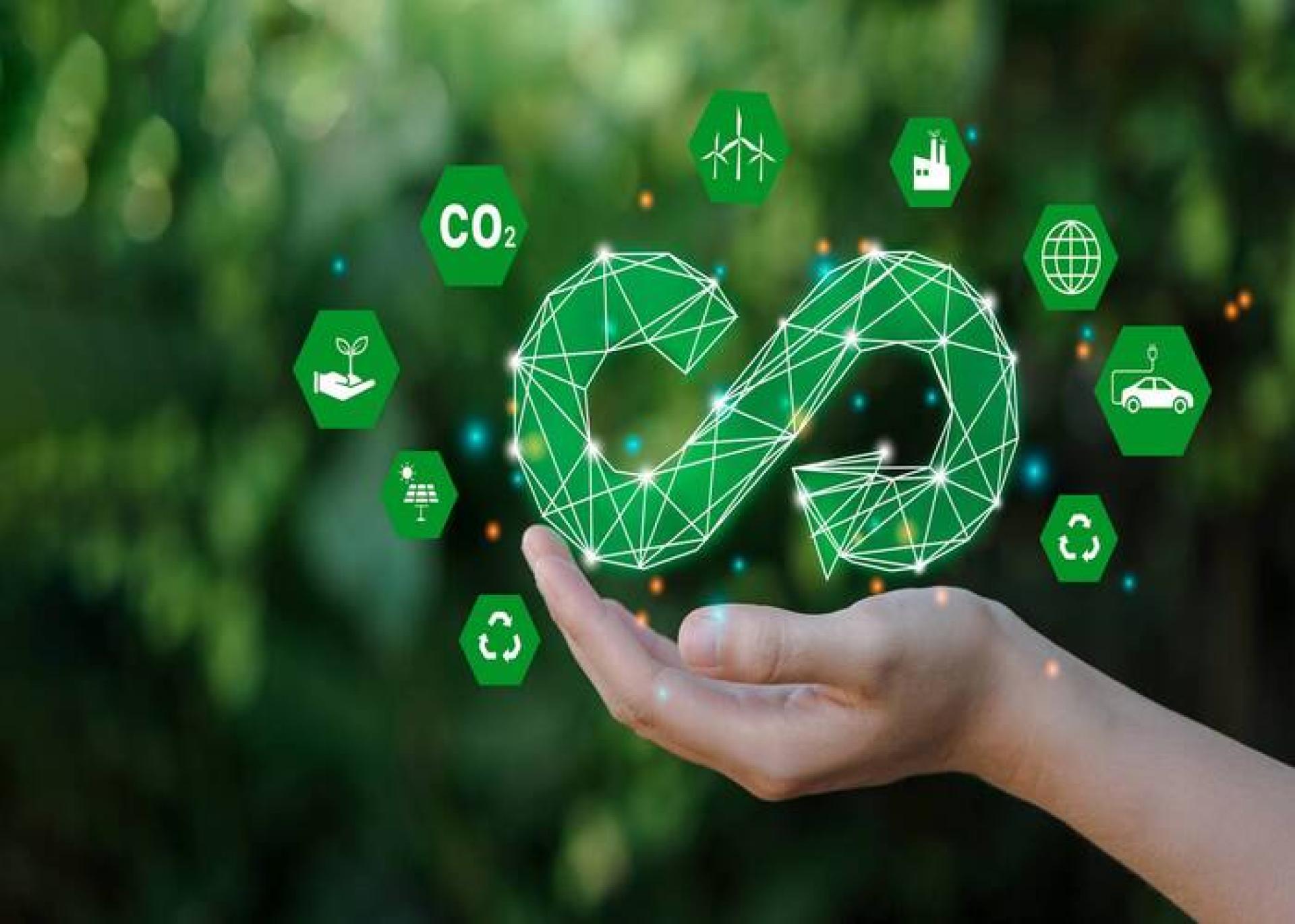 InterNexa recibió certificación carbono neutralidad en cinco países en Latinoamérica