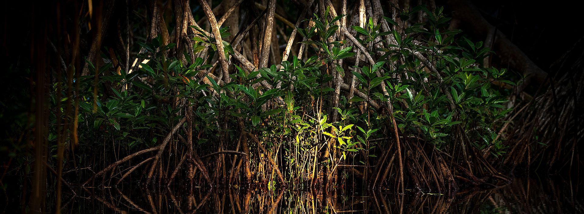 Diez proyectos que marcan nuestro compromiso medioambiental