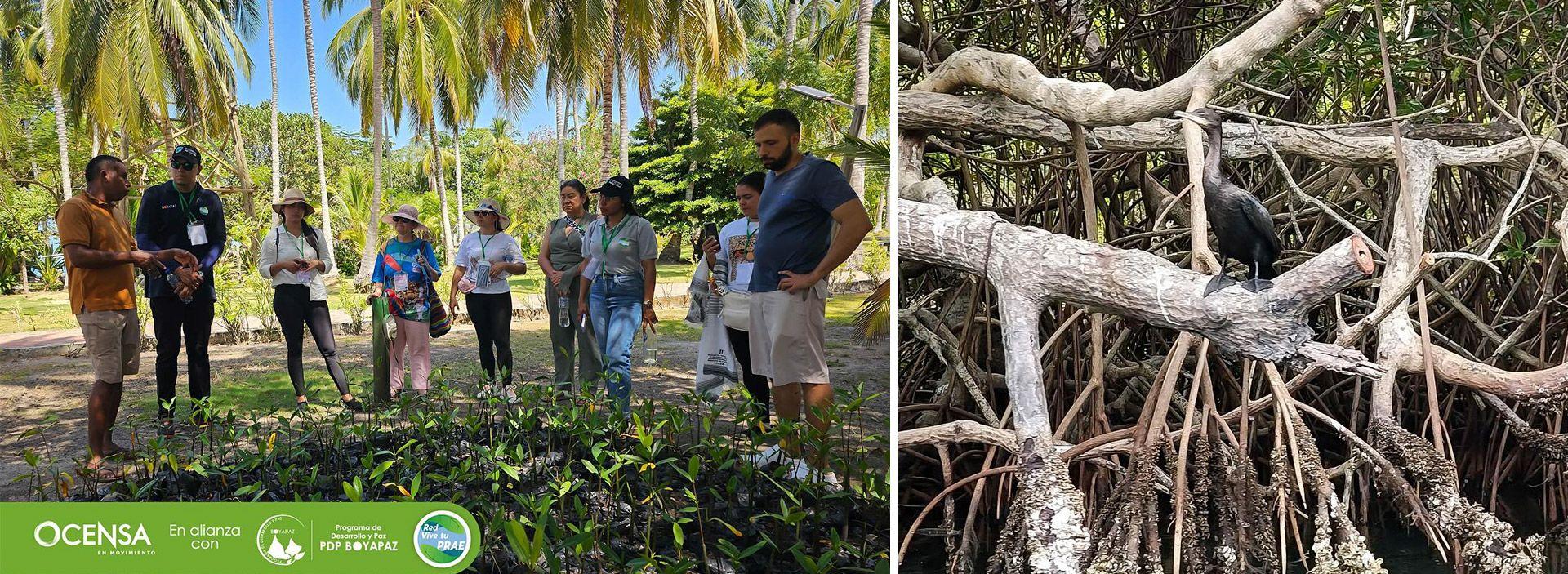 Iniciativas inspiradoras para la conservación de ciénagas y archipiélagos en Sucre