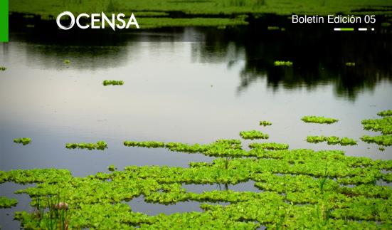 Agua que no has de beber… ¡cuídala!