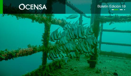 La naturaleza se adueñó de la TLU-2