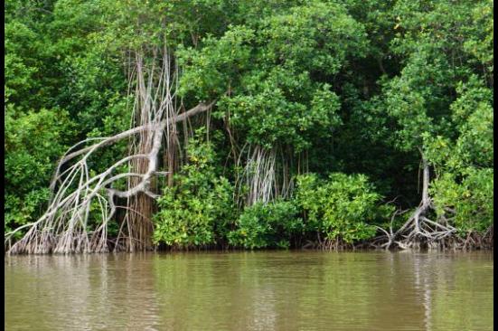 Terminó la jornada de recolección