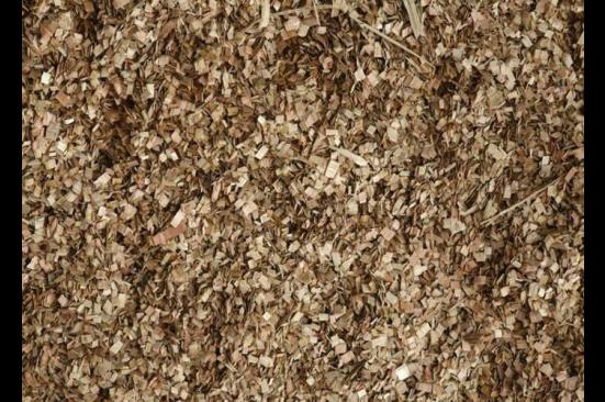 Generación de energía con biomasa a partir de eucalipto, anuncian en Casanare