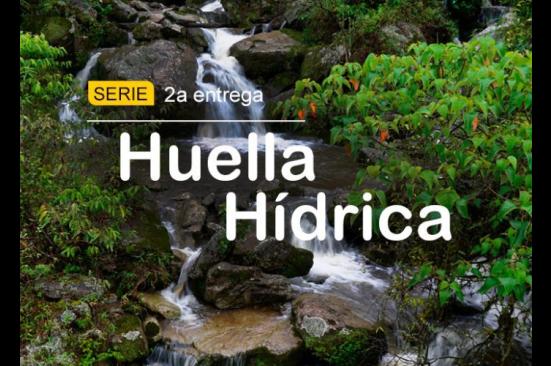 Así pensamos nuestra relación con el agua