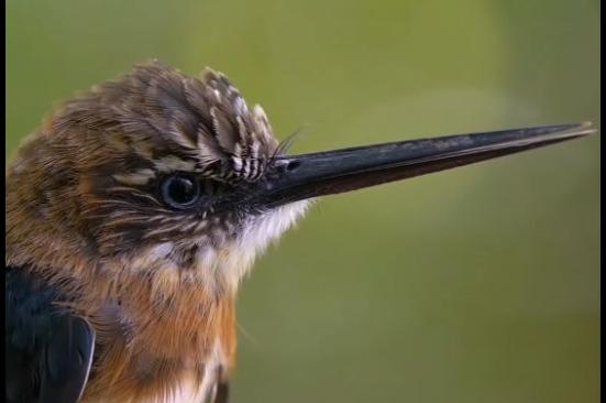 Ecopetrol entre las tres empresas de petróleo y gas del mundo con mejores prácticas de sostenibilidad