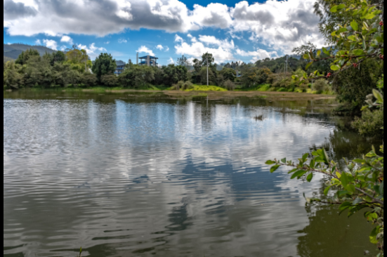 Grupo Ecopetrol tendrá cinco nuevas Ecoreservas en Casanare, Boyacá y Santander