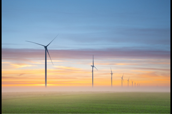 Ecopetrol buscaría socios para participar en subasta de energía eólica en Colombia