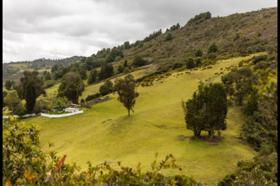 Ecopetrol firmó memorando de entendimiento con Petronor para acelerar la Transición Energética