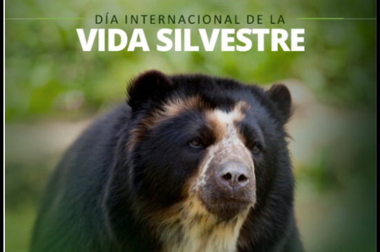 Ocensa, comprometida con la vida silvestre a través de monitoreos de fauna