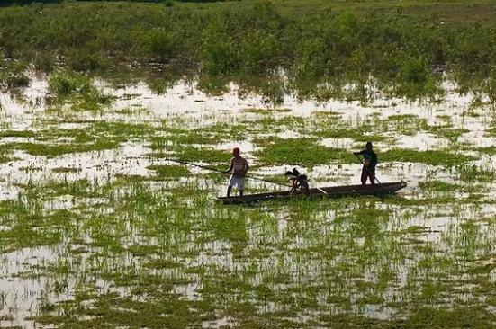 Enero 26: Día Mundial del Pescador