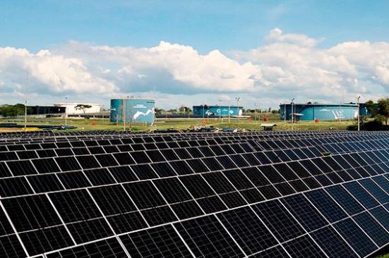 ‘Queremos que Colombia lidere la transición energética en América’: Business Sweden