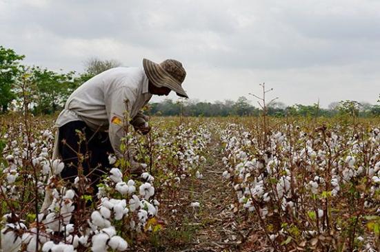 En marcha Comunidades en Movimiento el portafolio socio-ambiental de Ocensa