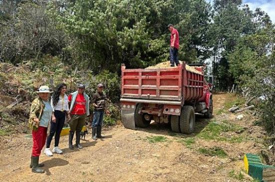 En cinco departamentos de la zona de influencia de Ocensa, las iniciativas comunitarias son una realidad