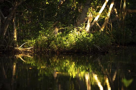 Ecopetrol se consolida como referente global en gestión responsable del agua