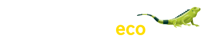 OCENSA